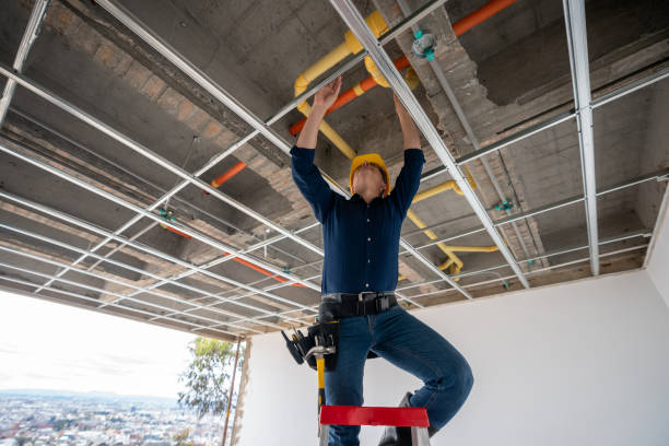 Best Plumbing Inspection Services  in Seymour, TX